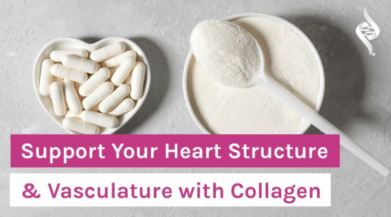 Support Your Heart Structure & Vasculature with Collagen