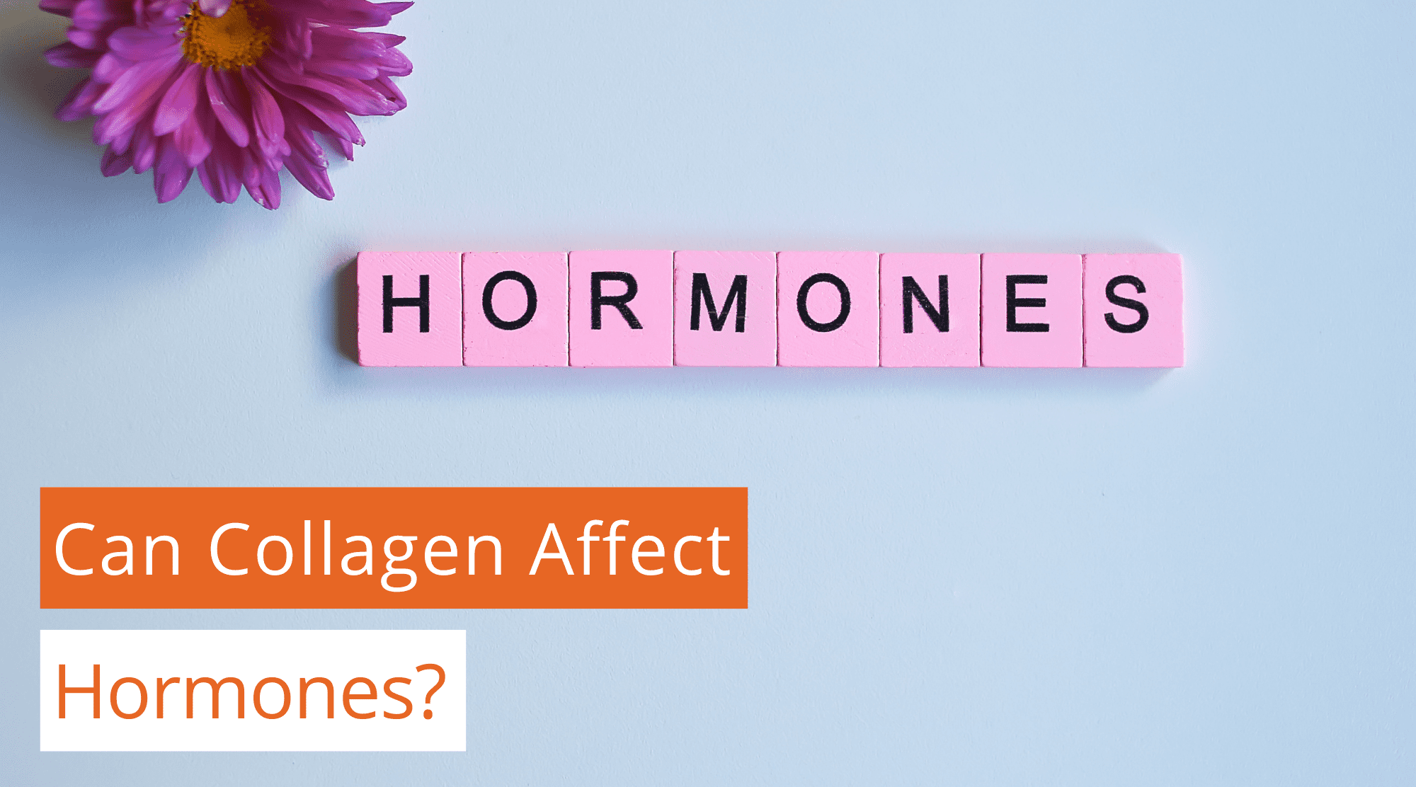 Can Collagen Affect Hormones