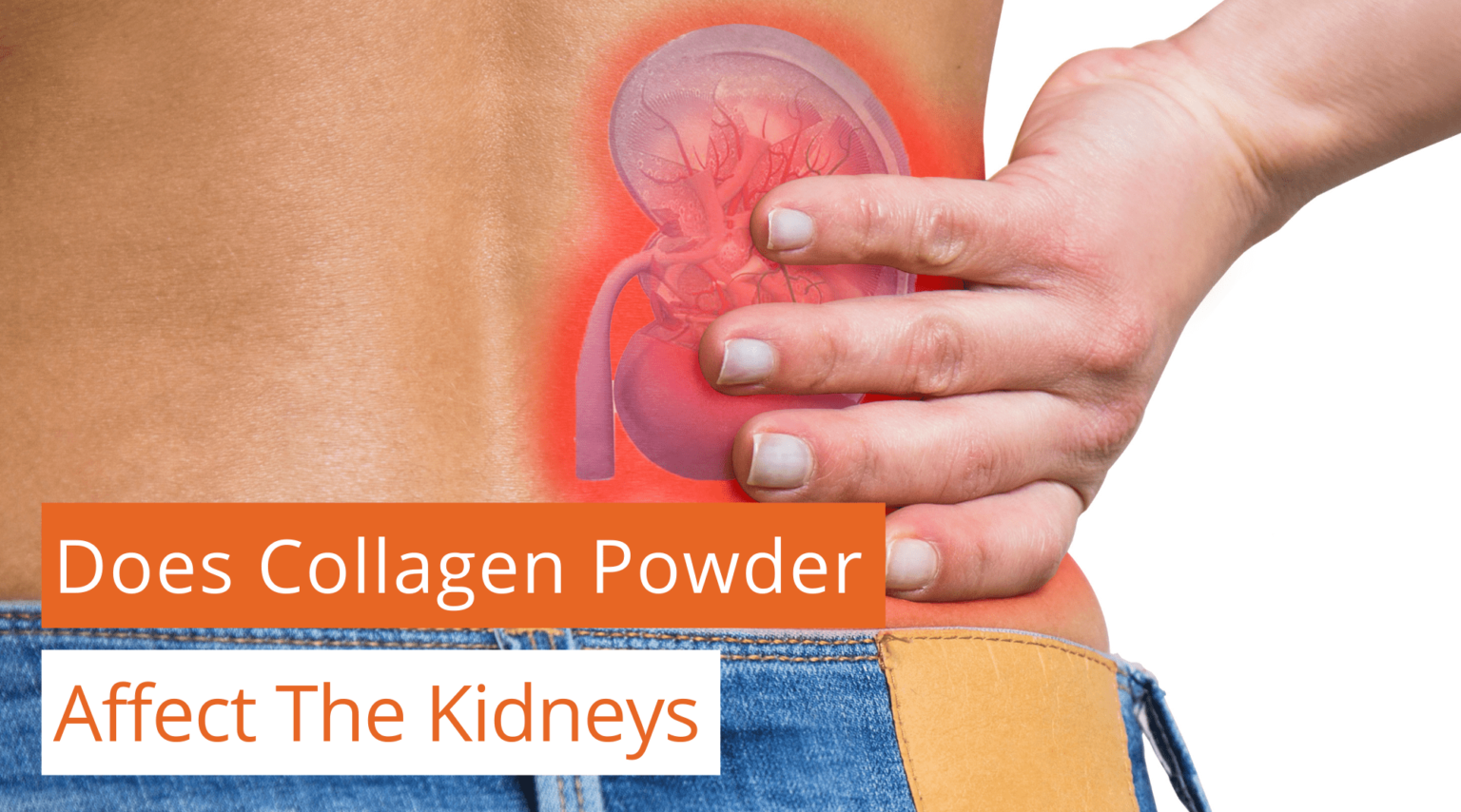 Does Collagen Powder Affect The Kidneys? Organixx