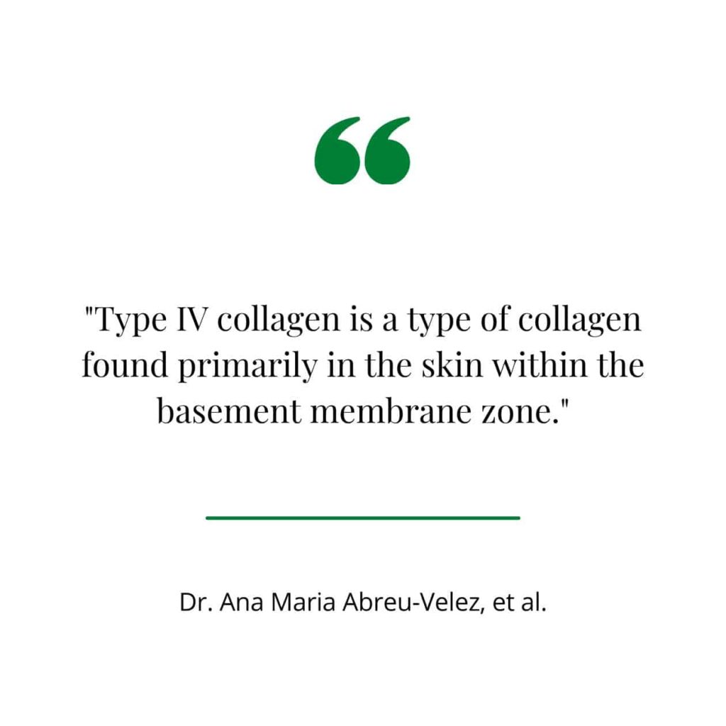 Type IV collagen importance in the skin, quote from a study.