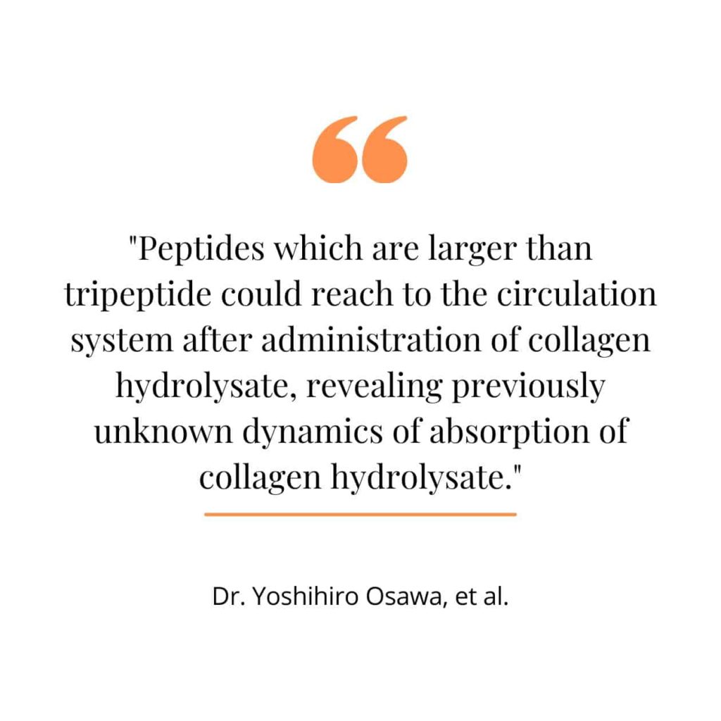 Collagen absorption, a quote from a study.