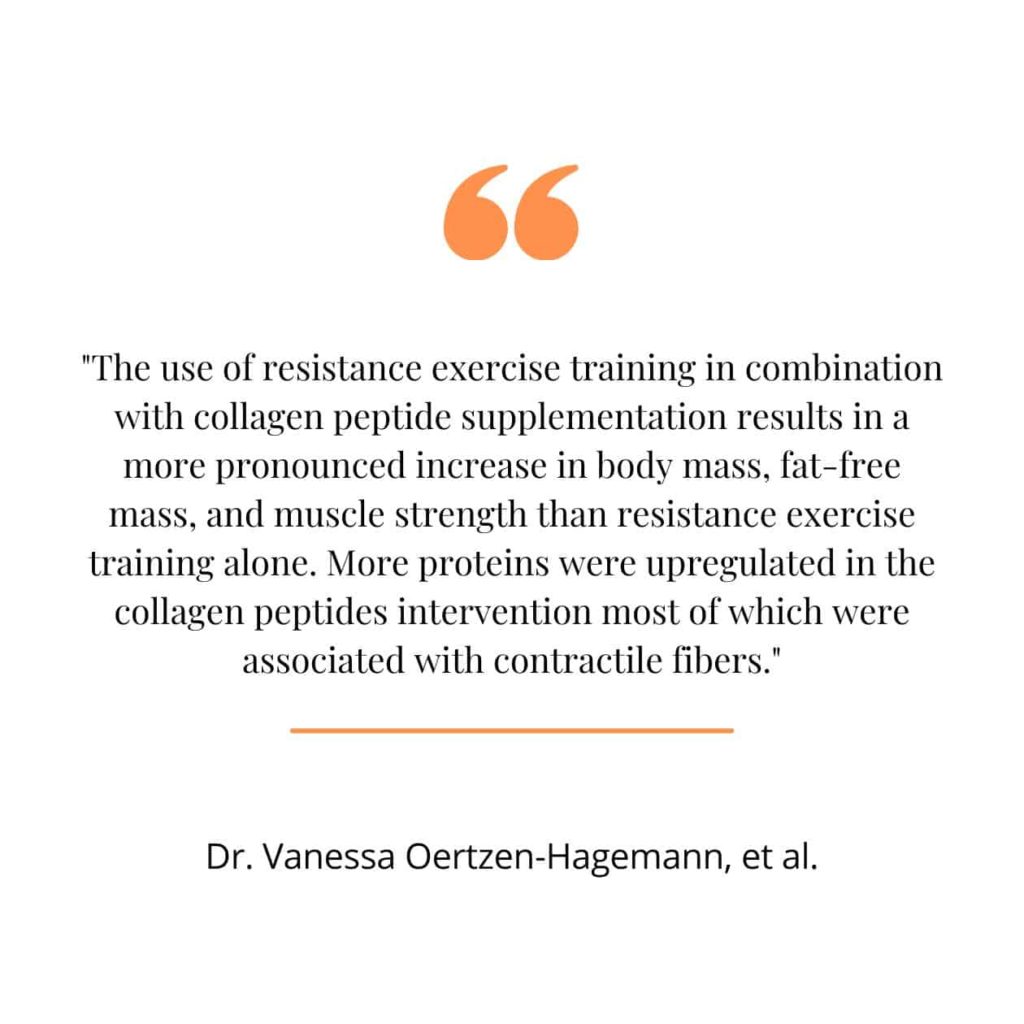Collagen benefits on muscle health, a quote from a study.