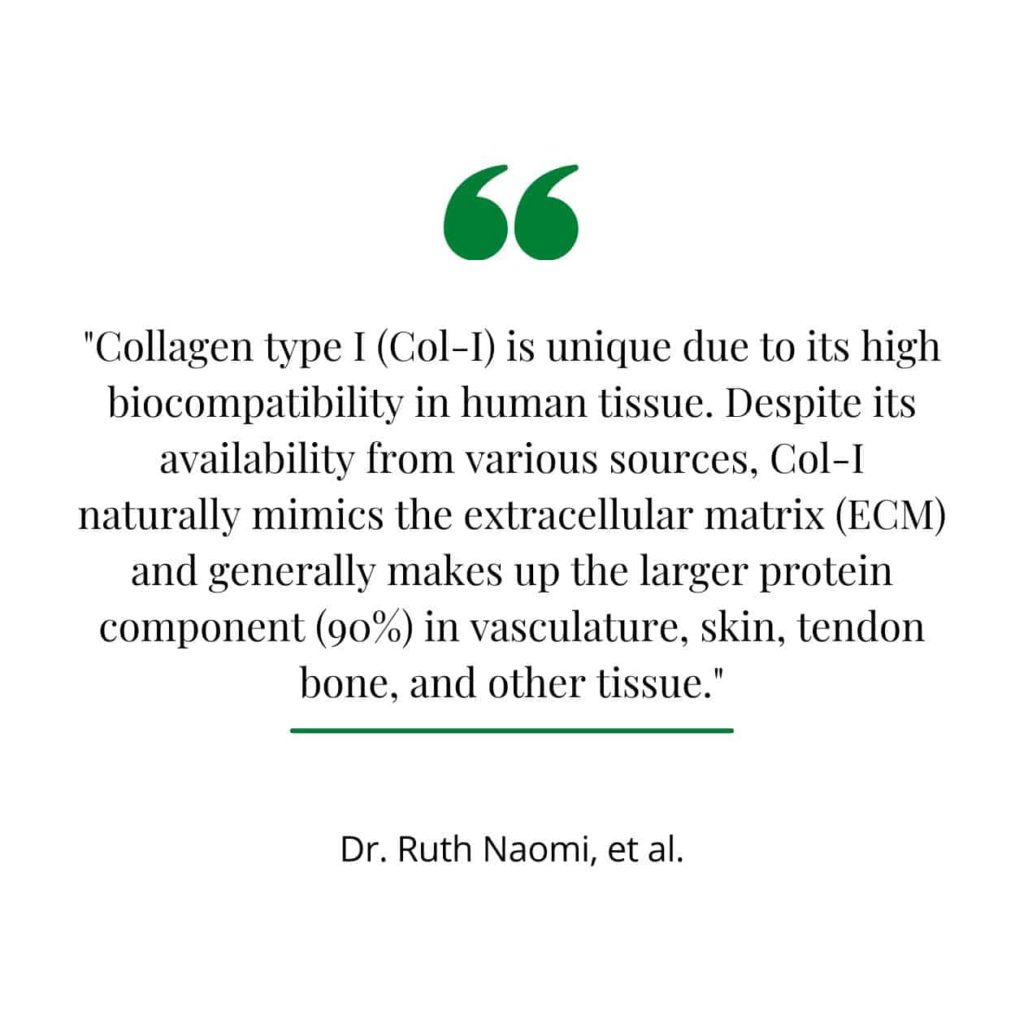A quote from a study explaining type I collagen.