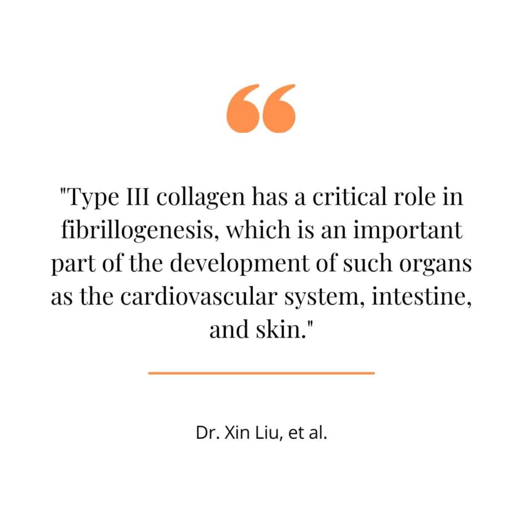 A quote from a study explaining type III collagen.