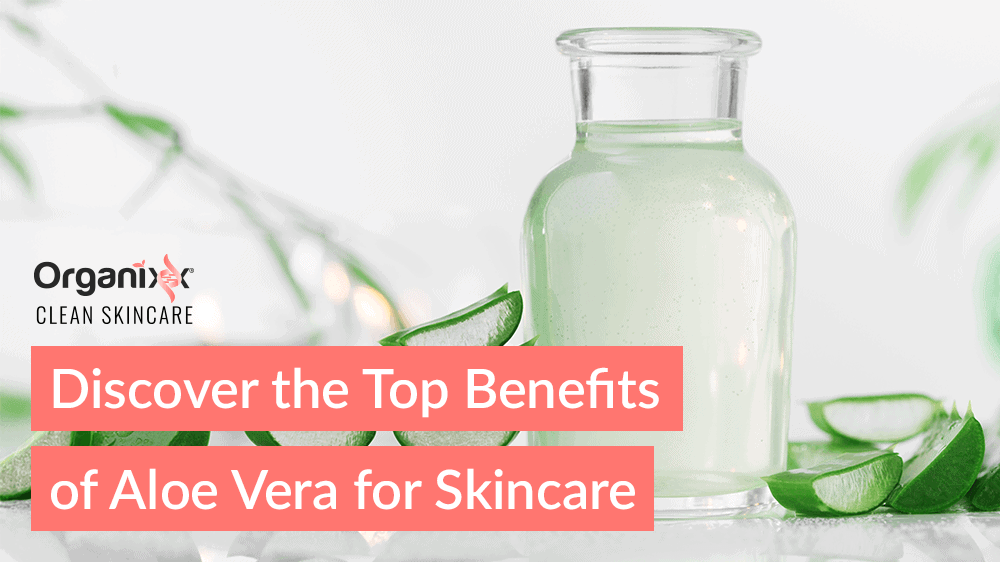 Discover the Top Benefits of Aloe Vera for Skin Care