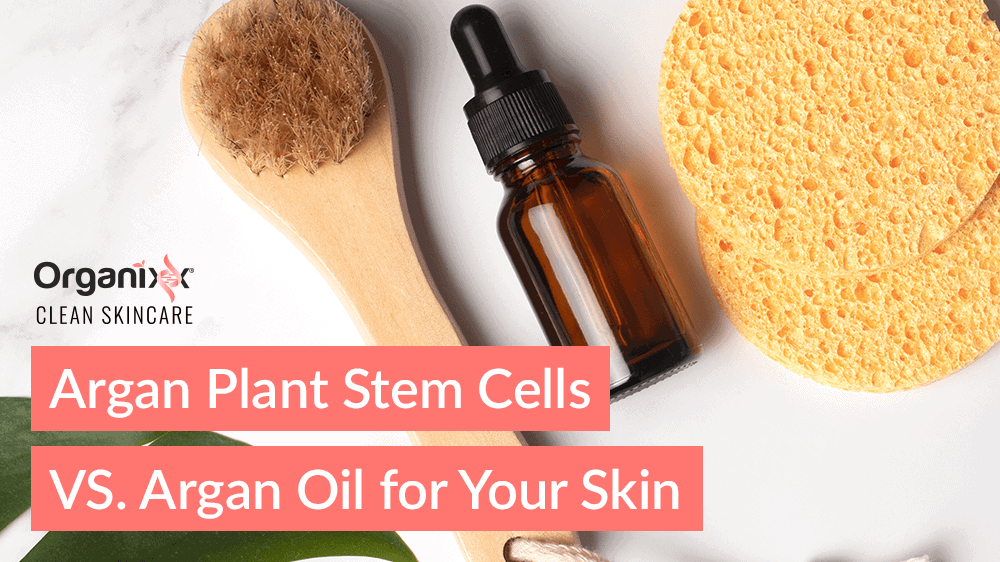 Argan Plant Stem Cells vs. Argan Oil for Your Skin