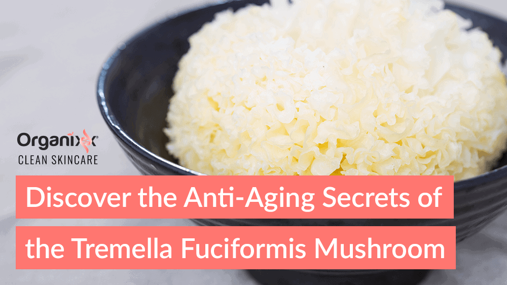 Discover the Anti-Aging Secrets of the Tremella Fuciformis Mushroom