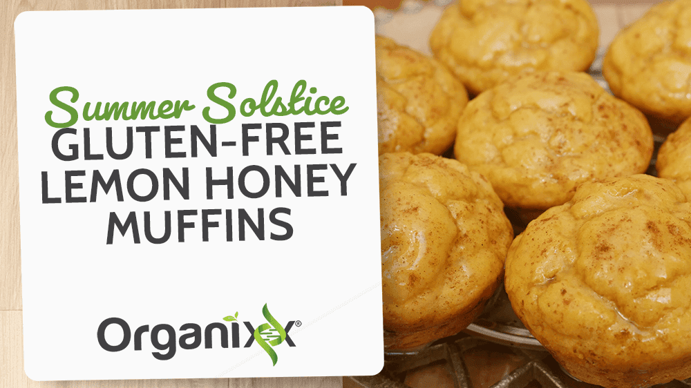 Summer Solstice GF Lemon Honey Muffins