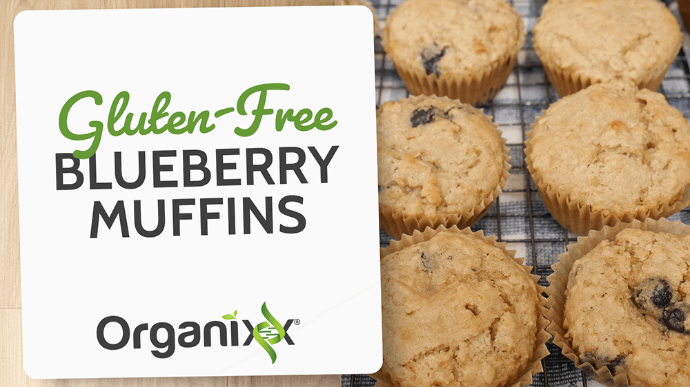 Gluten-Free Blueberry Muffins