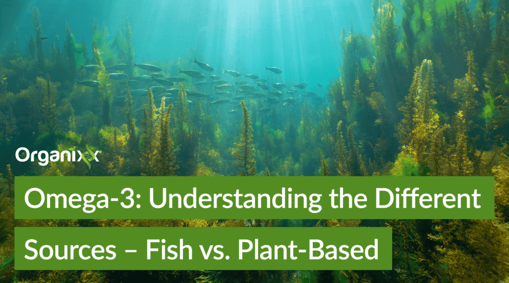 Omega-3: Understanding the Different Sources – “Fish vs. Plant-Based” 
