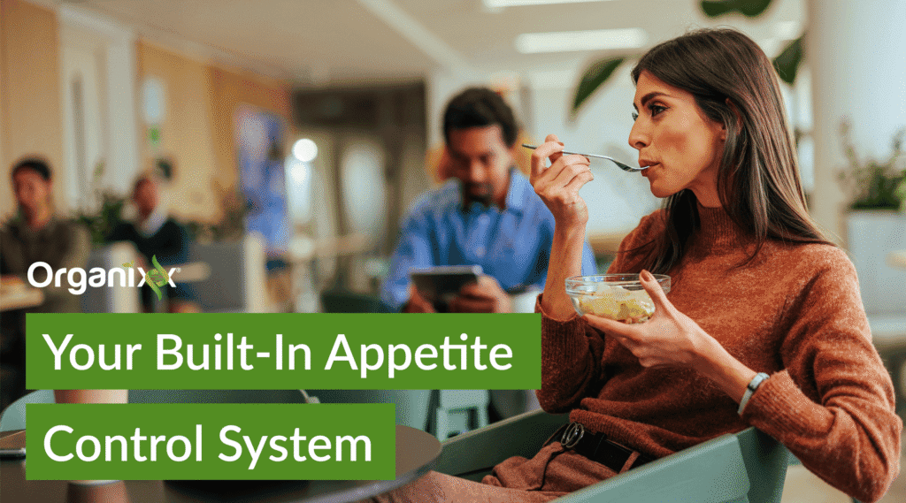 Your Body Has a Built-In Appetite Control System – Here’s What Powers It 