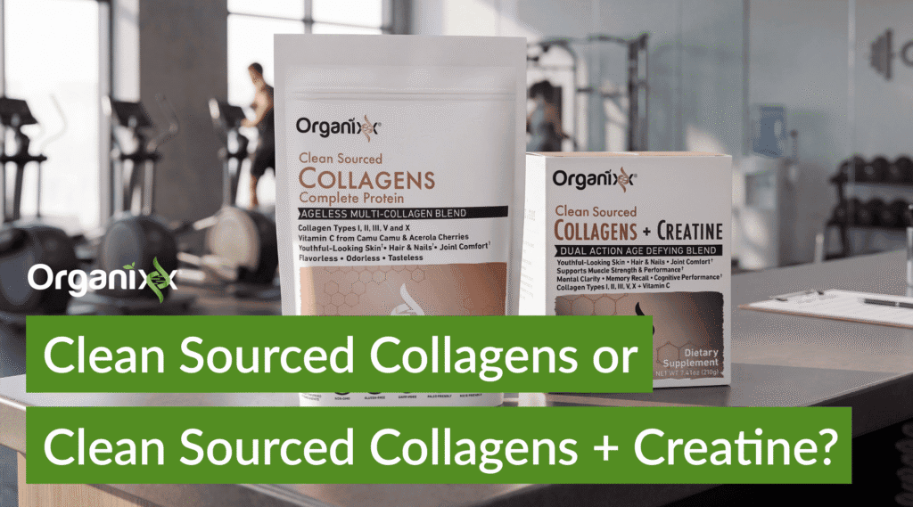 Clean Sourced Collagens or Clean Sourced Collagens + Creatine? Choosing the Right Formula for You 