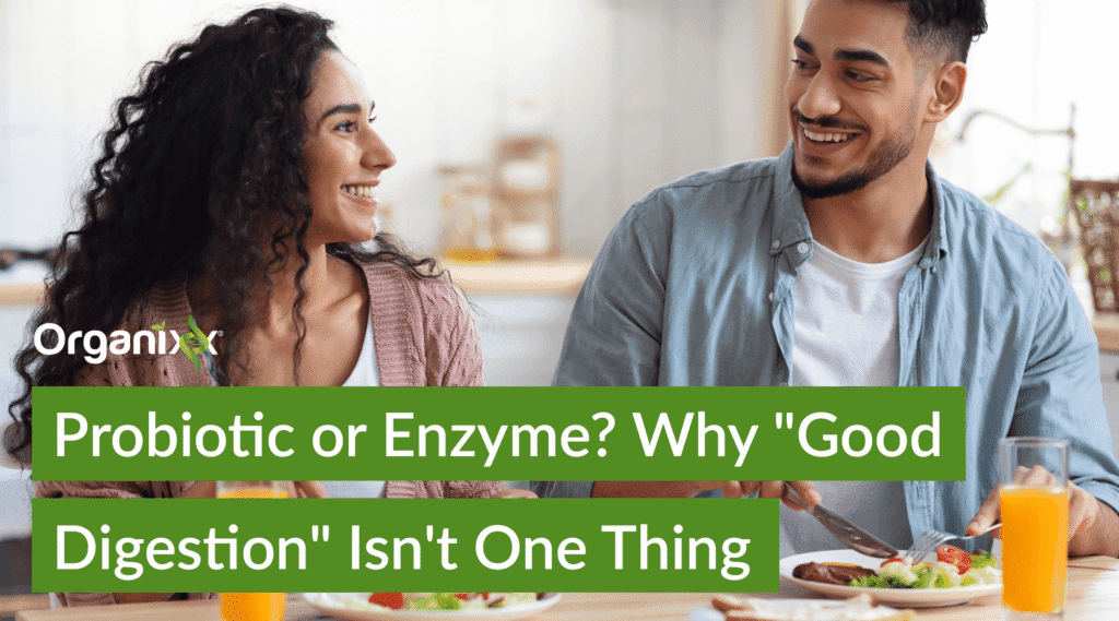 Probiotic or Enzyme? Why “Good Digestion” Isn’t One Thing 