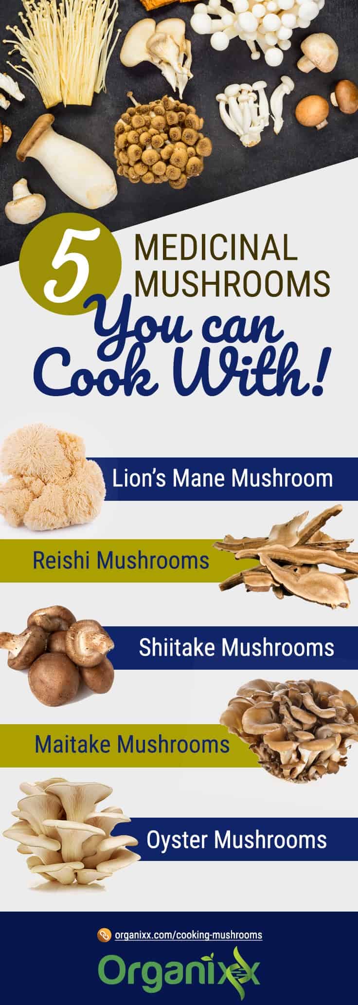5 Mushrooms You Con Cook With