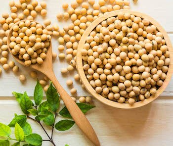 Bowl of soybeans