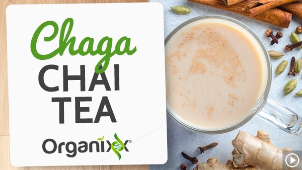 Chaga Chai Tea Recipe