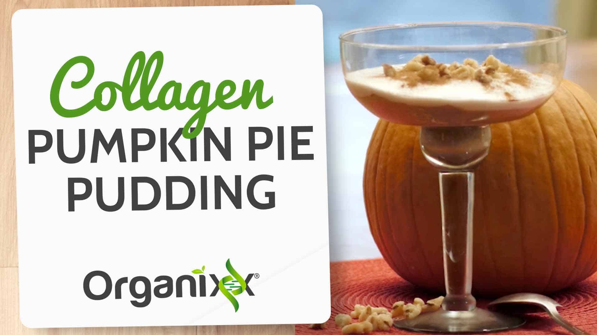 Collagen Pumpkin Pie Pudding