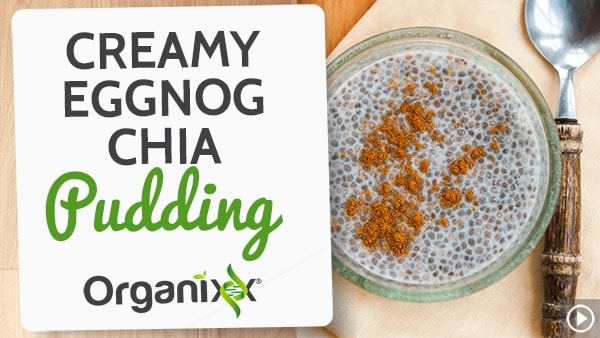 "Creamy" Eggnog Chia Pudding