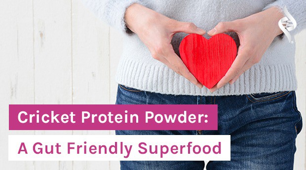 Is Cricket Protein Powder Really a Gut-Friendly Superfood?