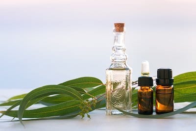 Eucalyptus aromatherapy essential oils in bottles