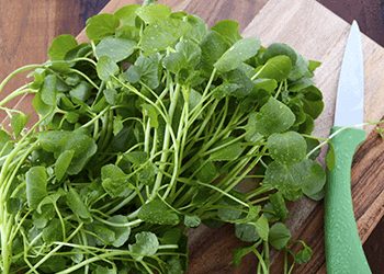 Getting the Benefits of Watercress from Your Diet
