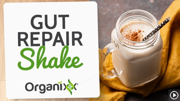 Gut Repair Shake from Organixx