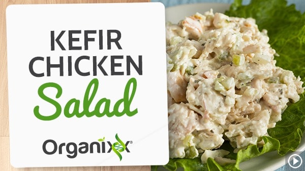 Kefir Chicken Salad Recipe