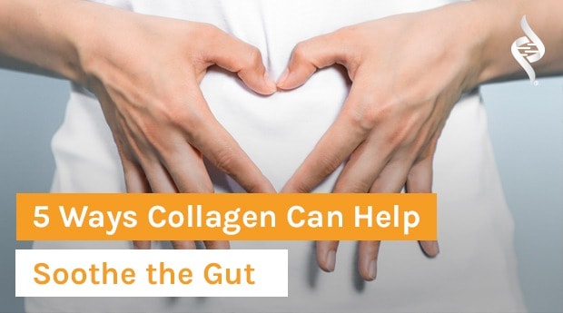 5 Ways Collagen Can Help Soothe the Gut
