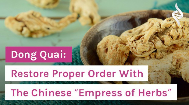 Dong Quai: Restore Proper Order With The Chinese “Empress of Herbs”