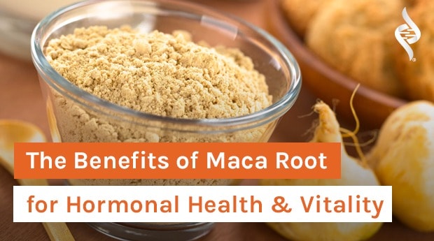 The Benefits of Maca Root for Hormonal Health & Vitality