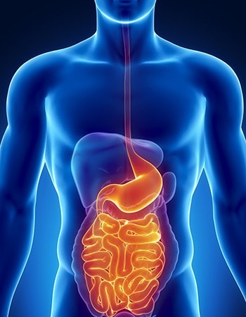 Take Probiotics to aid with digestion problems