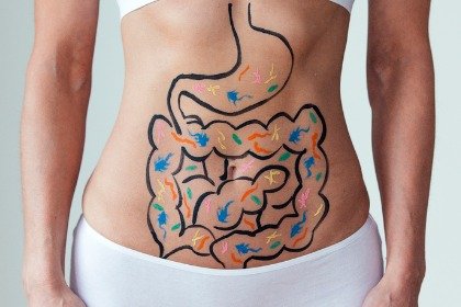 digestive tract drawn on stomach