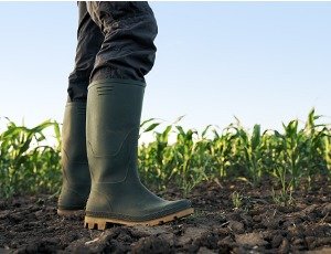 farmer standing in field in rubber boots