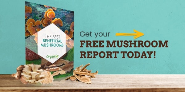 Link to Organixx report on the Best Beneficial Mushrooms
