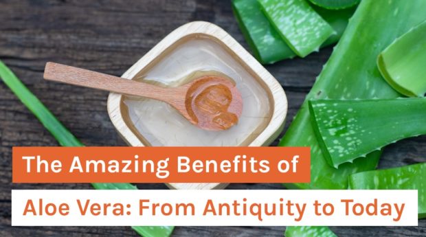 The Amazing Benefits of Aloe Vera_ From Antiquity to Today