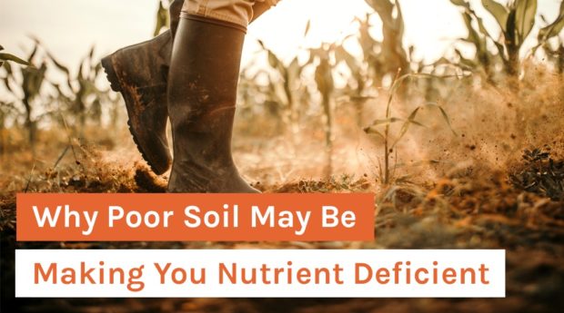 Why Poor Soil May Be Making You Nutrient Deficient
