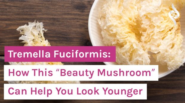 Tremella Fuciformis_ How This “Beauty Mushroom” Can Help You Look Younger