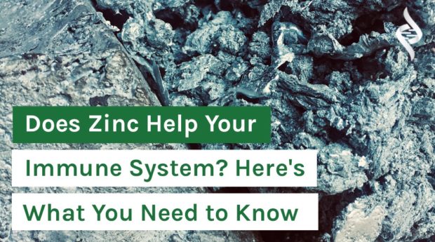 Does-Zinc-Help-Your-Immune-System--Here's-What-You-Need-to-Know
