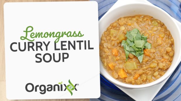Lemongrass Curry Lentil Soup